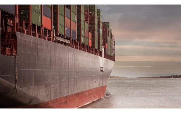 Worldwide Cargo Business Opportunities during the Pandemic